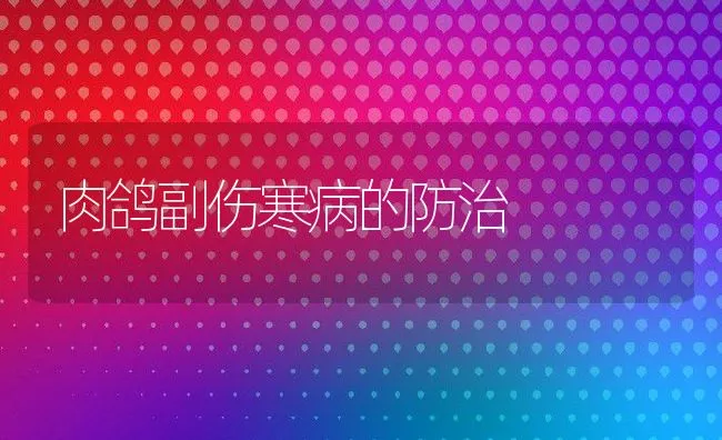 肉鸽副伤寒病的防治 | 水产养殖知识