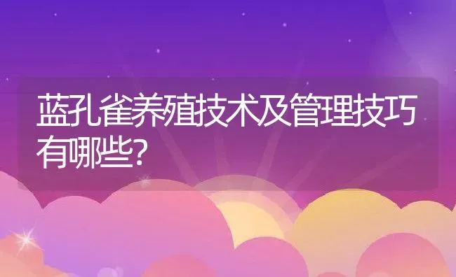 蓝孔雀养殖技术及管理技巧有哪些？ | 动物养殖百科