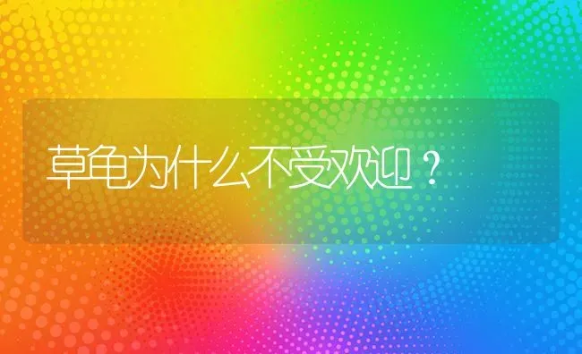 草龟为什么不受欢迎？ | 动物养殖问答