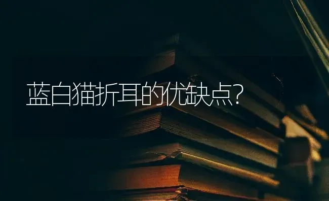 蓝白猫折耳的优缺点？ | 动物养殖问答