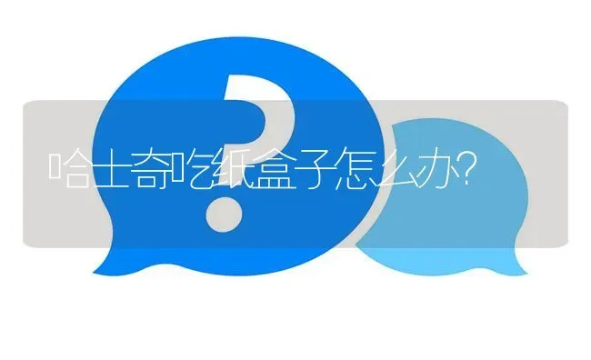 哈士奇吃纸盒子怎么办？ | 动物养殖问答