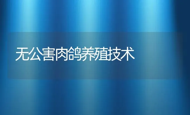 无公害肉鸽养殖技术 | 水产养殖知识