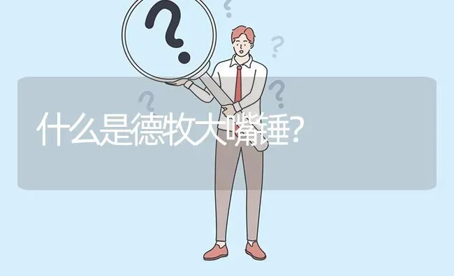 什么是德牧大嘴锤？ | 动物养殖问答