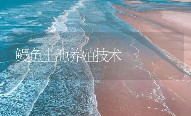 鳗鱼土池养殖技术 | 海水养殖技术