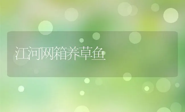 杜洛克适宜的生活环境是什么？ | 动物养殖饲料