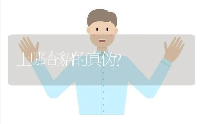 上哪查貂的真伪？ | 动物养殖问答