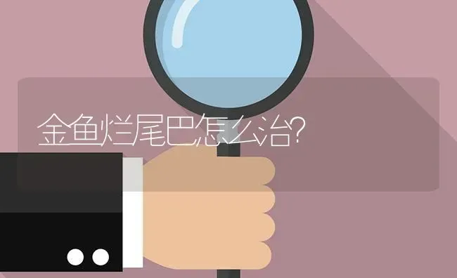 斑马鱼鼠鱼虎皮孔雀鱼红箭红绿灯是否可以混养？ | 鱼类宠物饲养