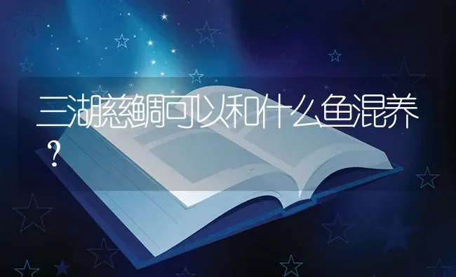 三湖慈鲷可以和什么鱼混养？ | 鱼类宠物饲养