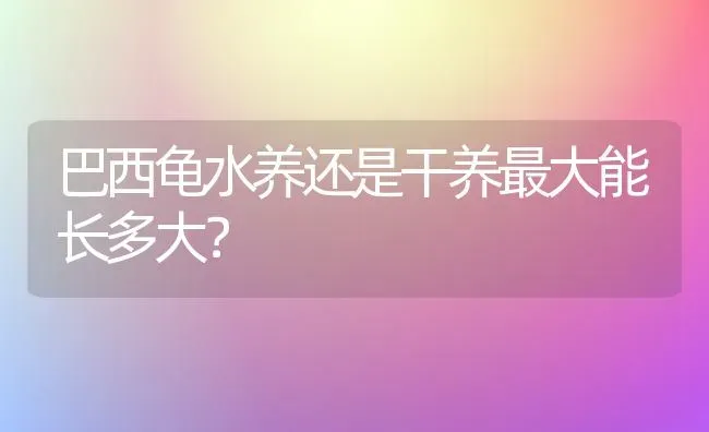 请问十个月的金毛体长应该是多少？ | 动物养殖问答