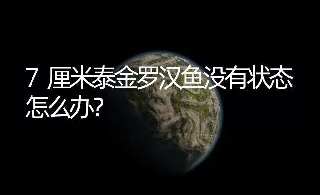 7厘米泰金罗汉鱼没有状态怎么办？ | 鱼类宠物饲养