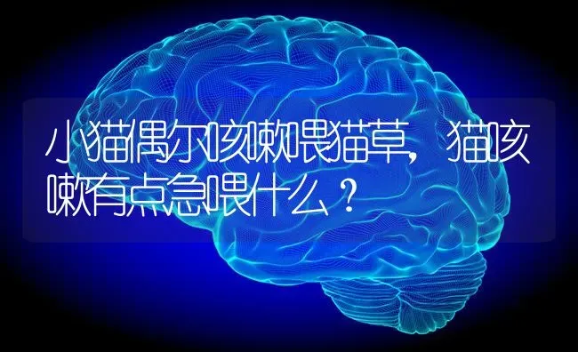 抖音拍唯美博美的名字？ | 动物养殖问答