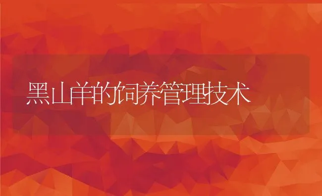 黑山羊的饲养管理技术 | 动物养殖学堂