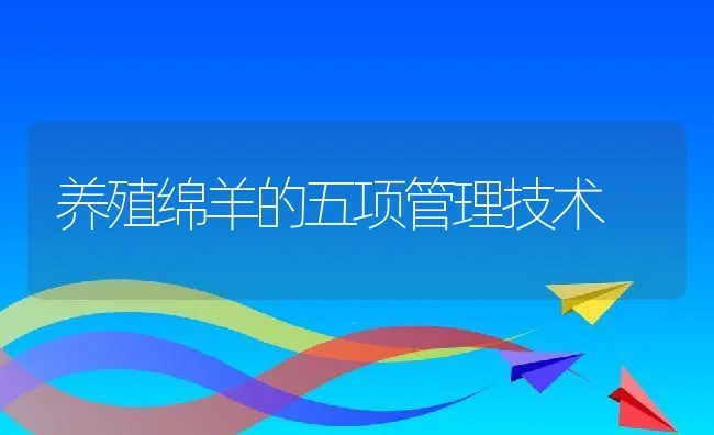 养殖绵羊的五项管理技术 | 动物养殖饲料