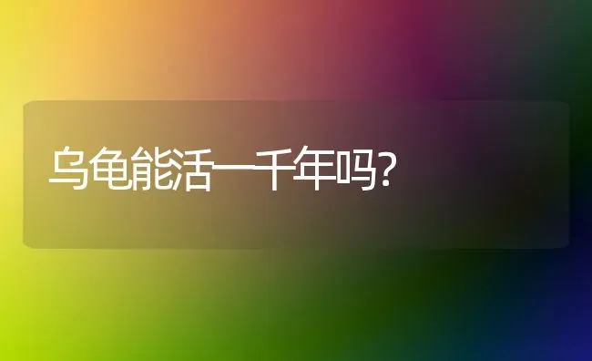 乌龟能活一千年吗？ | 动物养殖问答