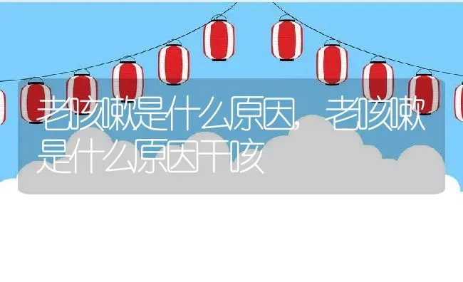 老咳嗽是什么原因,老咳嗽是什么原因干咳 | 宠物百科知识