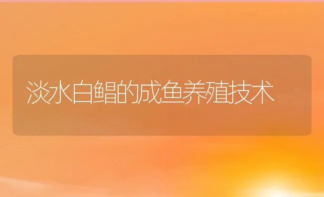 淡水白鲳的成鱼养殖技术 | 动物养殖饲料