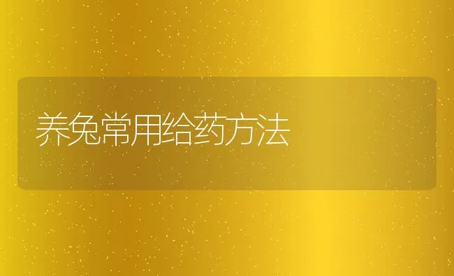 养兔常用给药方法 | 水产养殖知识