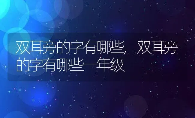 双耳旁的字有哪些,双耳旁的字有哪些一年级 | 宠物百科知识