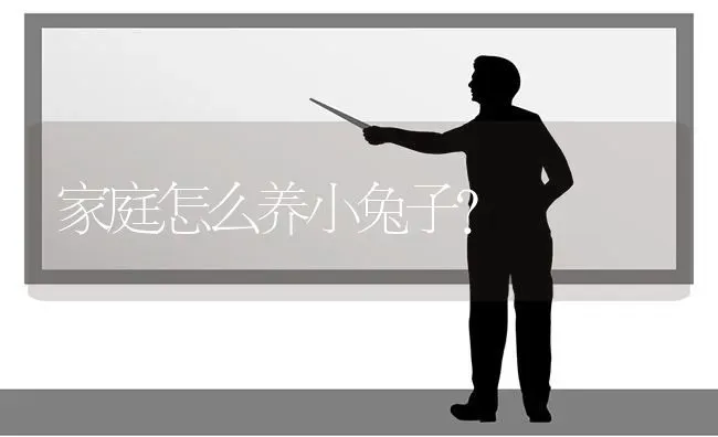 家庭怎么养小兔子？ | 动物养殖问答