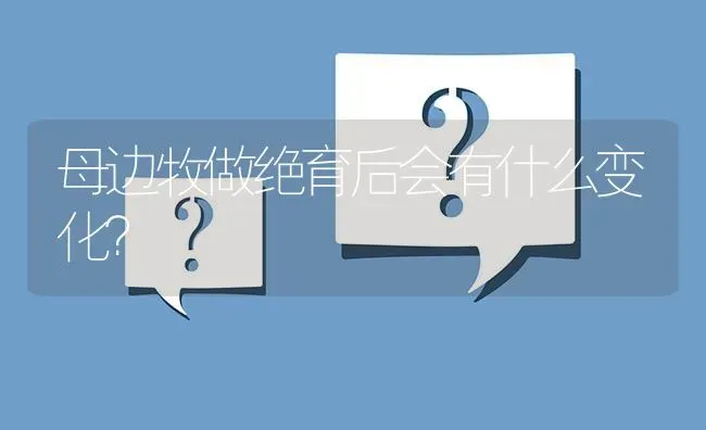 母边牧做绝育后会有什么变化？ | 动物养殖问答