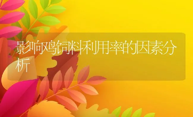 种公兔的饲养管理 | 动物养殖学堂