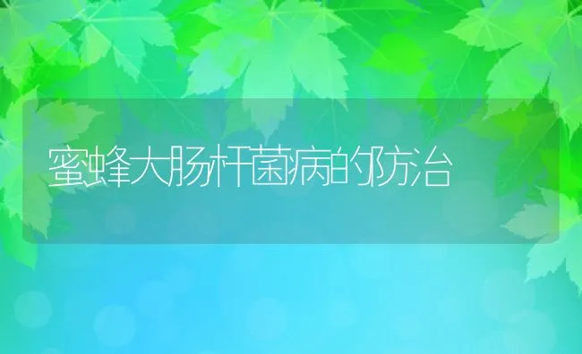 蜜蜂大肠杆菌病的防治 | 水产养殖知识