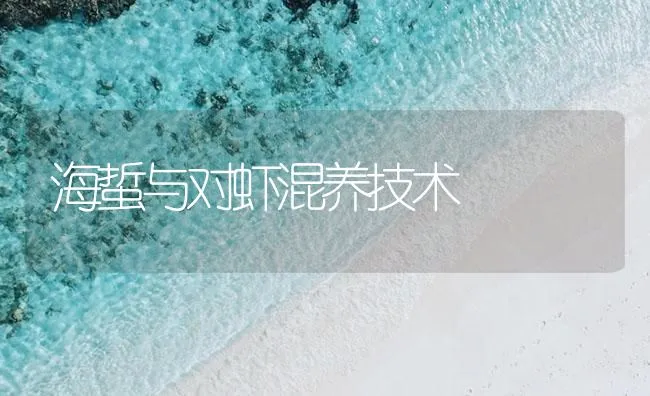 海蜇与对虾混养技术 | 海水养殖技术