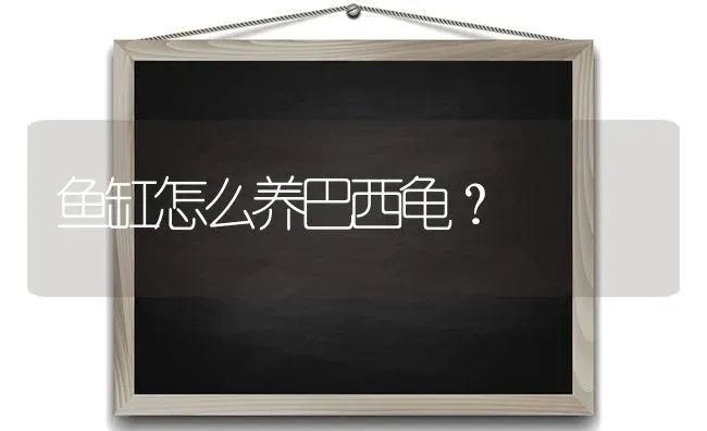 博美9月份掉毛吗？ | 动物养殖问答