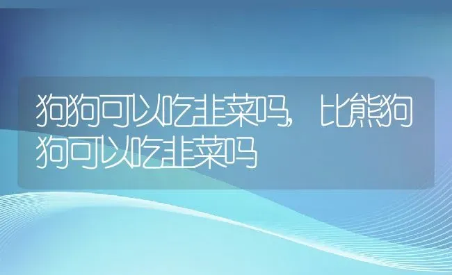 狗狗可以吃韭菜吗,比熊狗狗可以吃韭菜吗 | 宠物百科知识