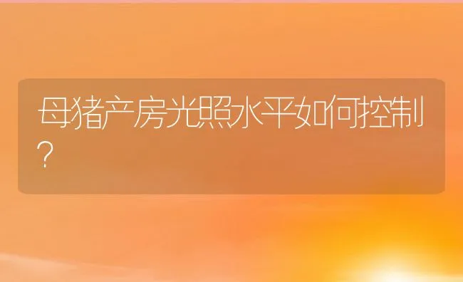 母猪产房光照水平如何控制？ | 动物养殖饲料