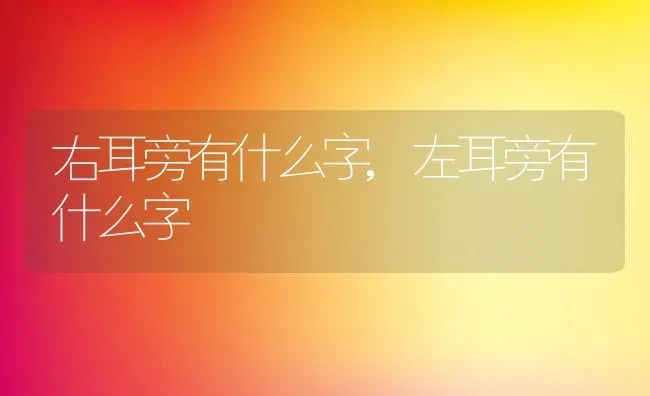 右耳旁有什么字,左耳旁有什么字 | 宠物百科知识