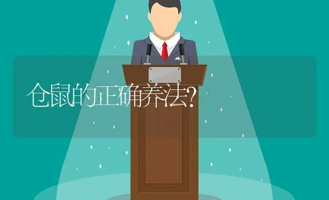 中华田园猫养公的还是母的？ | 动物养殖问答