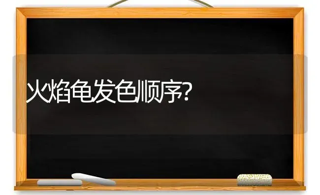 火焰龟发色顺序？ | 动物养殖问答