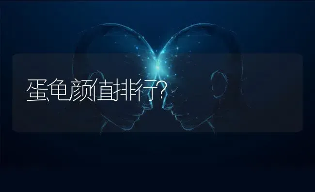 萨摩耶是什么时候引进中国的？ | 动物养殖问答