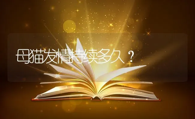 母猫发情持续多久？ | 动物养殖问答