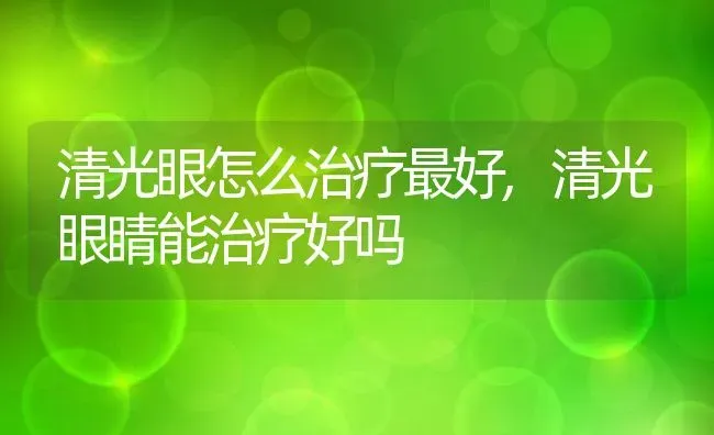 清光眼怎么治疗最好,清光眼睛能治疗好吗 | 宠物百科知识