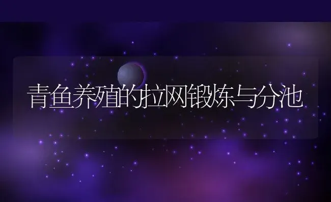 青鱼养殖的拉网锻炼与分池 | 动物养殖教程