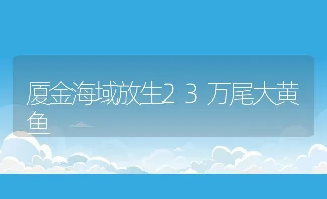 厦金海域放生23万尾大黄鱼 | 淡水养殖技术