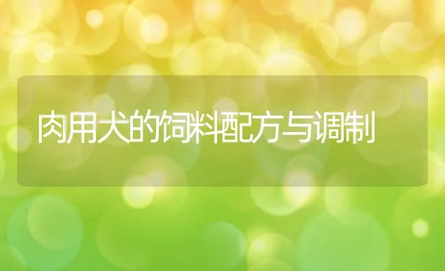 肉用犬的饲料配方与调制 | 动物养殖饲料