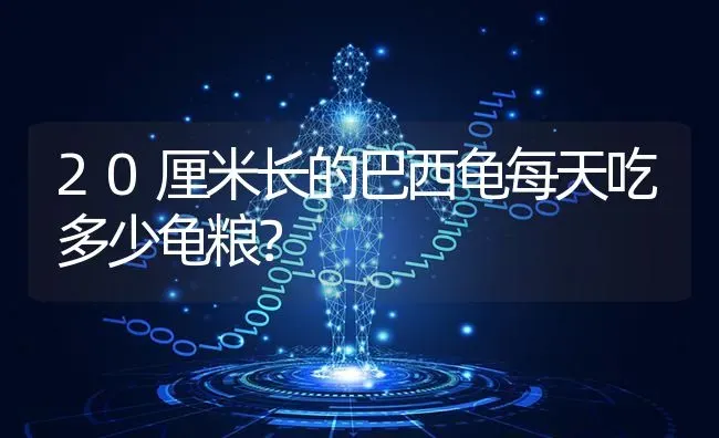 当黑狗遇到鬼有什么反应？ | 动物养殖问答