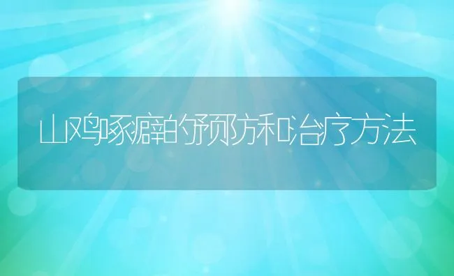 山鸡啄癖的预防和治疗方法 | 水产养殖知识