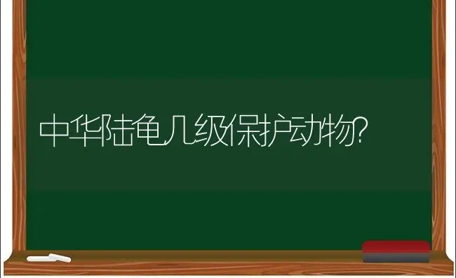 中华陆龟几级保护动物？ | 动物养殖问答