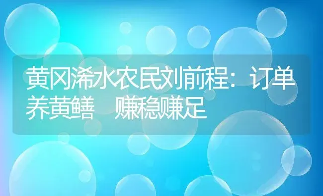 黄冈浠水农民刘前程：订单养黄鳝 赚稳赚足 | 动物养殖教程