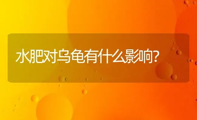 水肥对乌龟有什么影响？ | 动物养殖问答