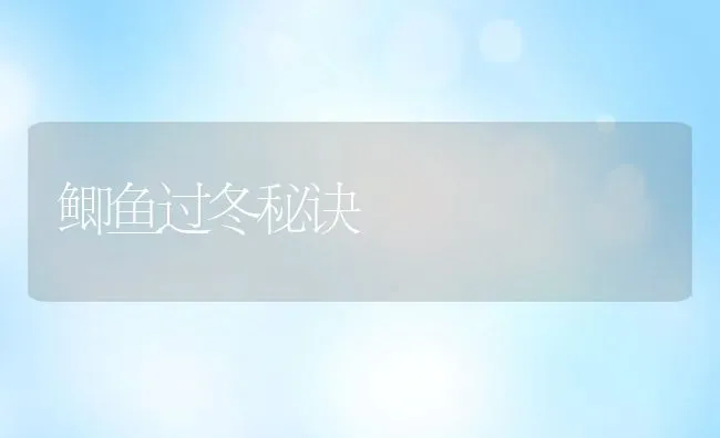 鲫鱼过冬秘诀 | 动物养殖饲料