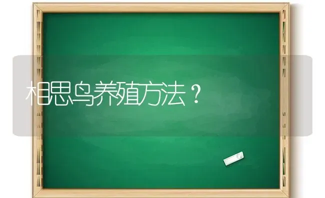 相思鸟养殖方法？ | 动物养殖问答