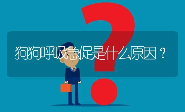 狗狗呼吸急促是什么原因？ | 动物养殖问答