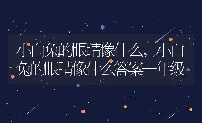 小白兔的眼睛像什么,小白兔的眼睛像什么答案一年级 | 宠物百科知识