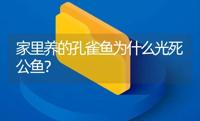 家里养的孔雀鱼为什么光死公鱼？ | 鱼类宠物饲养