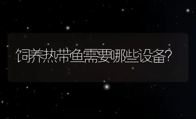 饲养热带鱼需要哪些设备？ | 动物养殖教程